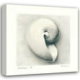 thumbnail image 1 of Amy Melious 15x15 Gallery Wrapped Canvas Wall Art Titled - Sea Shapes III, 1 of 4