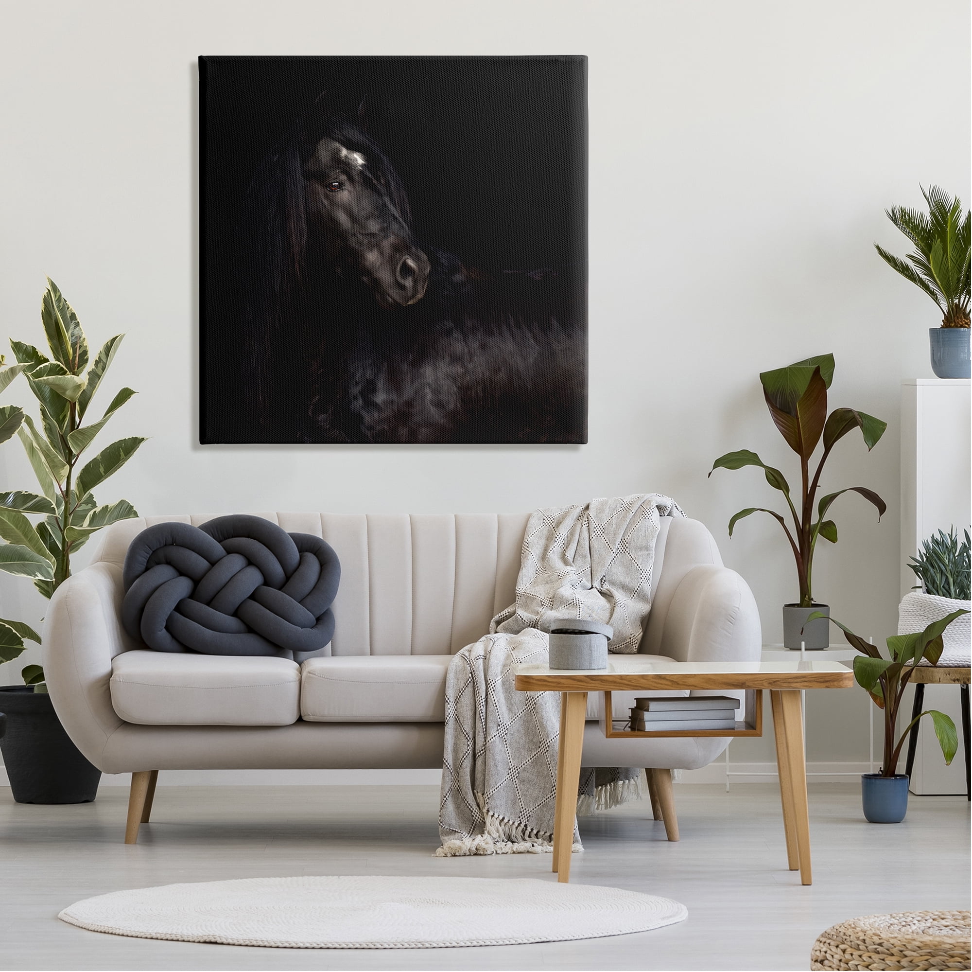 Stupell Industries Elegant Black Stallion Animals & Insects Photography Gallery Wrapped Canvas Art Print Wall Art, 36 x 36