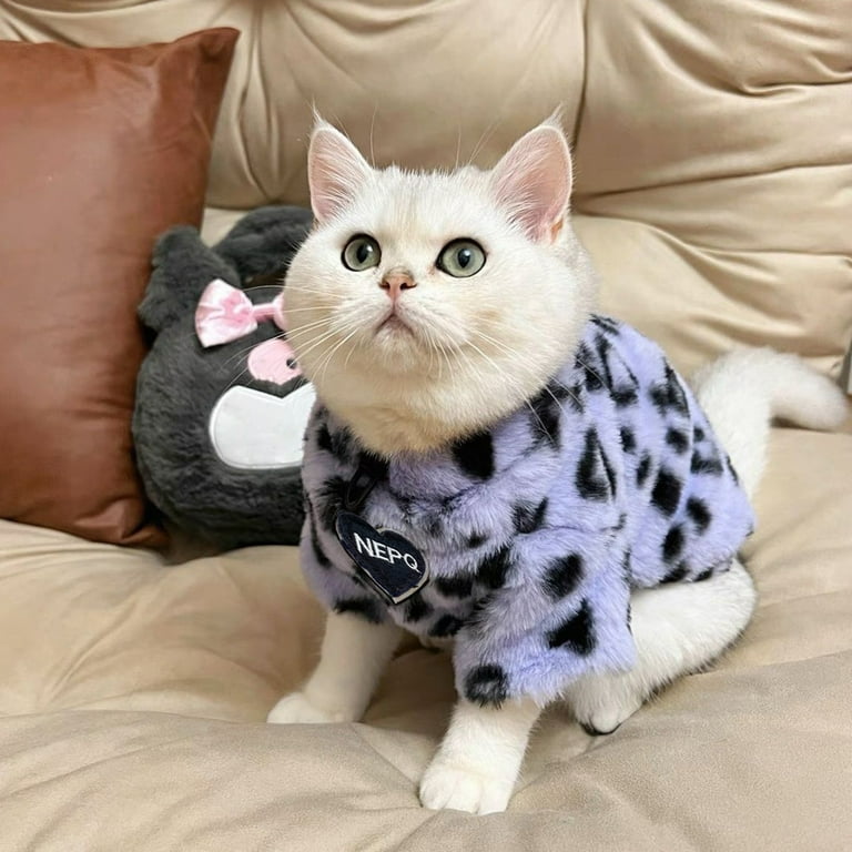 Cat outfits for girls sale