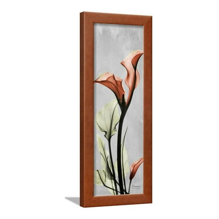 Calla Lily Garden Art - Gray Calla Lily 1 Framed Print Wall Art By Albert Koetsier