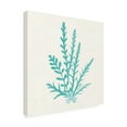 thumbnail image 2 of Wild Apple Portfolio 'Pacific Sea Mosses III Aqua' Canvas Art, 2 of 3