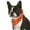 Orange, variant on Pack of 2 Paisley Cotton Dog Bandana Triangle Shape  - One Size Fits Most