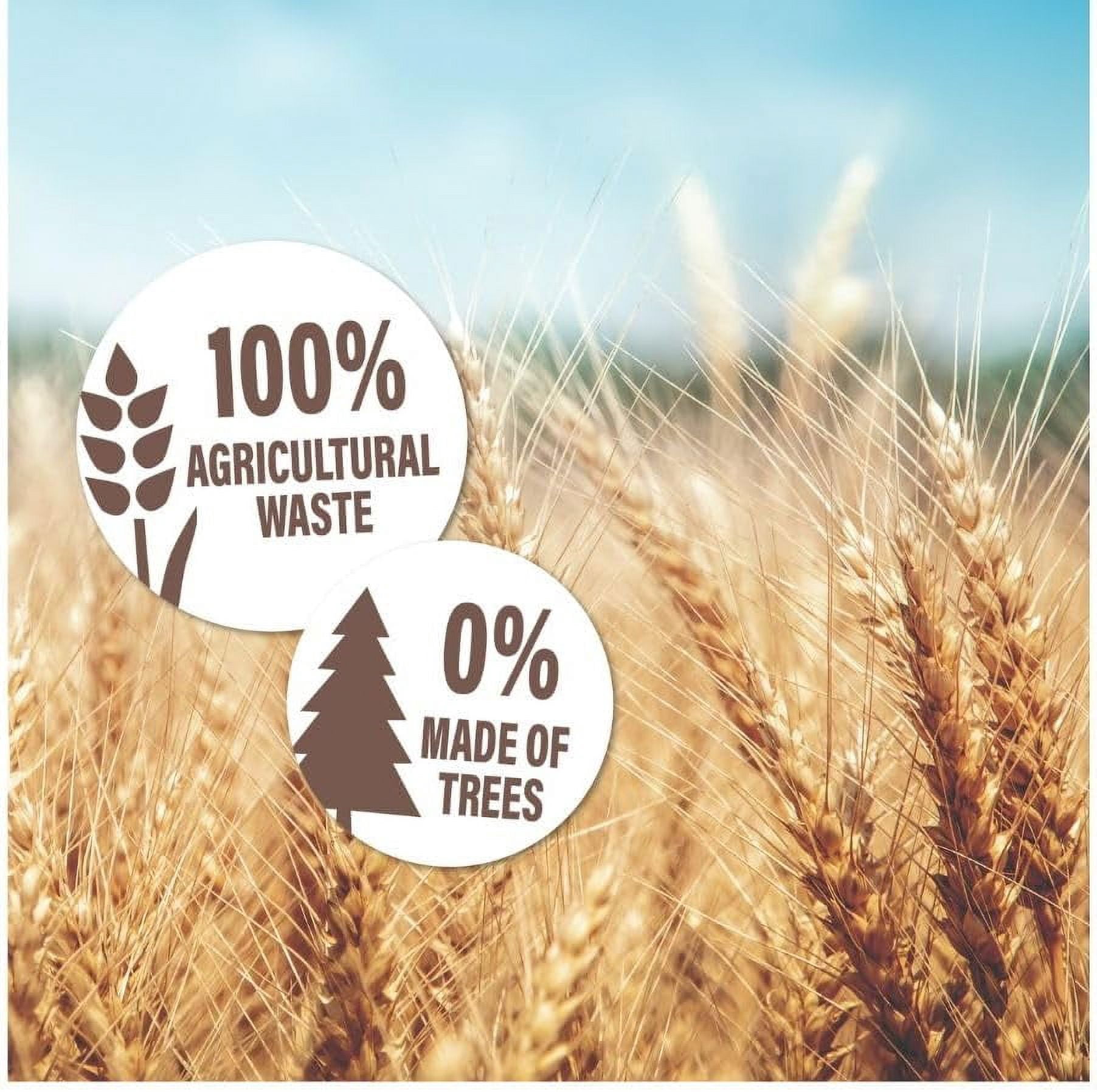 Djois by Jalema® Sustainable Tree-Free Pocket Folders, Natural Beige, 60-Sheet Capacity, 10 inches by 11-5/8 inches, 30 Each (3923311)