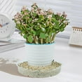 thumbnail image 4 of Darzheoy 5 Pack Clear Plastic Plant Saucers Drip Trays Plant Plate Dish for Indoor Planters Flower Pots, 10 inch, 4 of 4