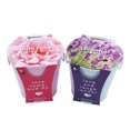 thumbnail image 4 of Buzzy Seeds 2 Pack Lavender Seed & Mini Rose Gardening Kit with Pails, Seeds & Growing Medium, 4 of 5