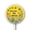 NDDq9, variant on Eveokoki Less Lawn More Natives - Native Plant Garden Sign - Native Pollinator Sign - Save The Bees Signs - 9.2" x 9.2" Weatherproof Aluminum Signs for Outdoor Use