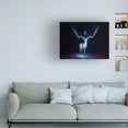 thumbnail image 2 of Trademark Fine Art Animals Canvas Art ' Nightbringer ' by JoJoesArt, 2 of 4