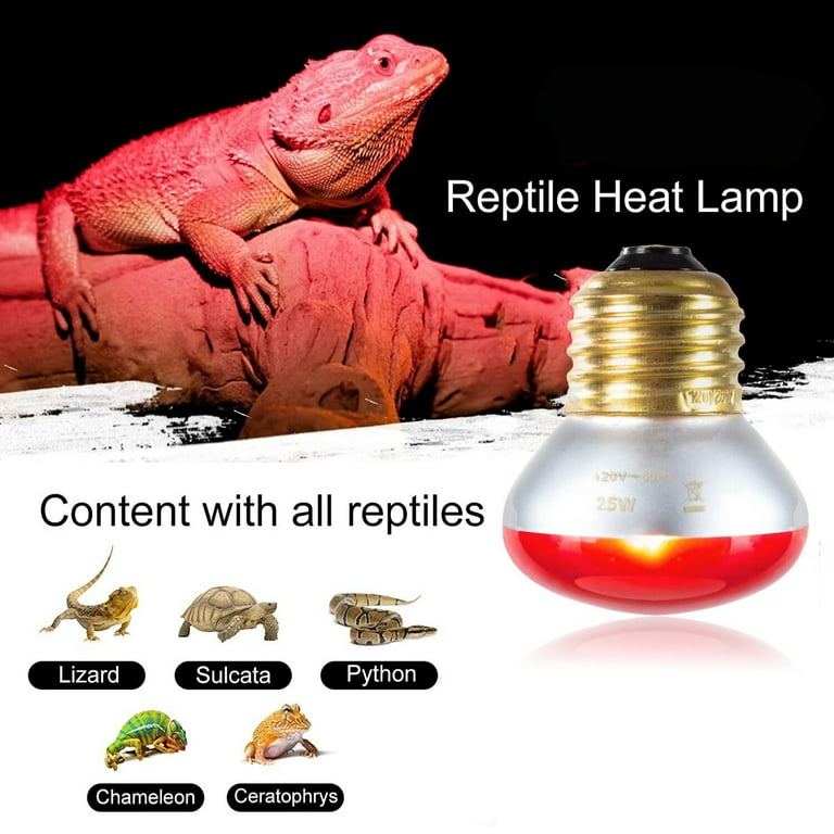 Chameleon heat lamp top