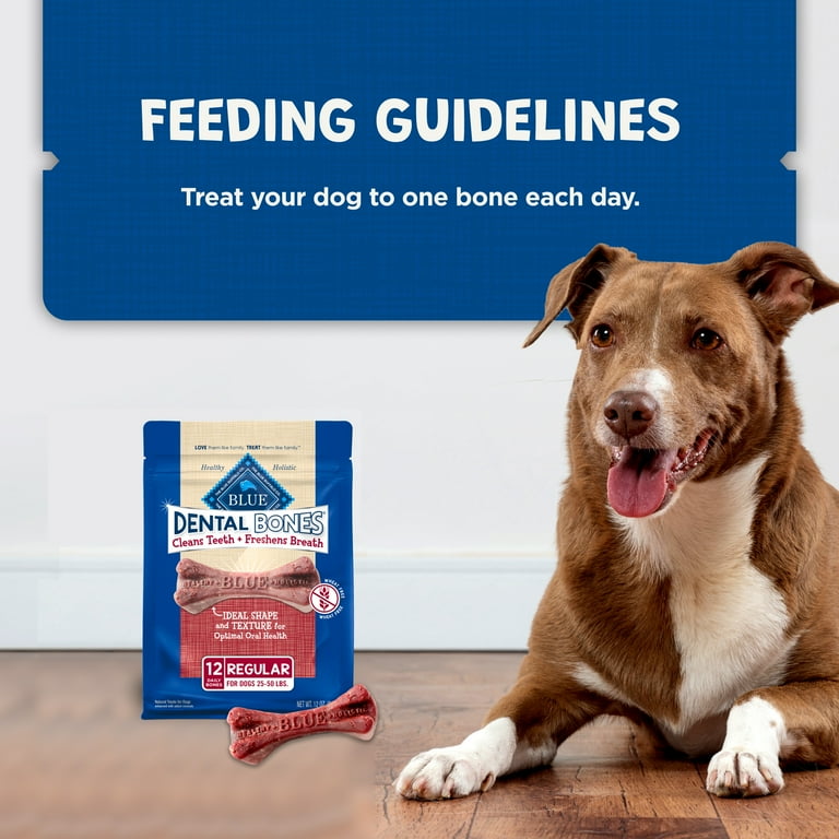 Buffalo Dog Blue Dental Bones Mini Blue Buffalo Dental Chews Small