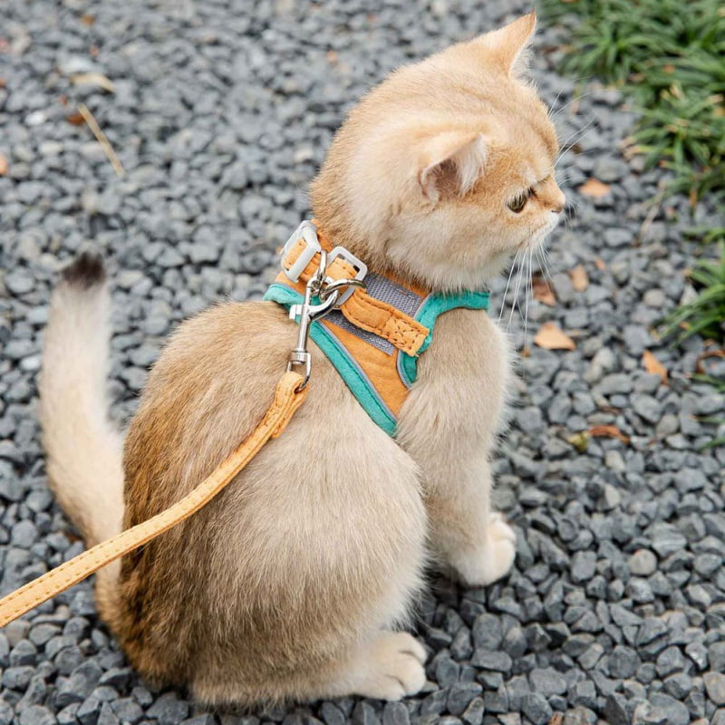 Texsens Cat Harness and Leash Set Extra Small, Denim Blue - Blue Escape Proof Adjustable Soft H-shped Safety Strap Harness Rope with Safety Buckle for Pet Cats Kitten Walking Outdoor