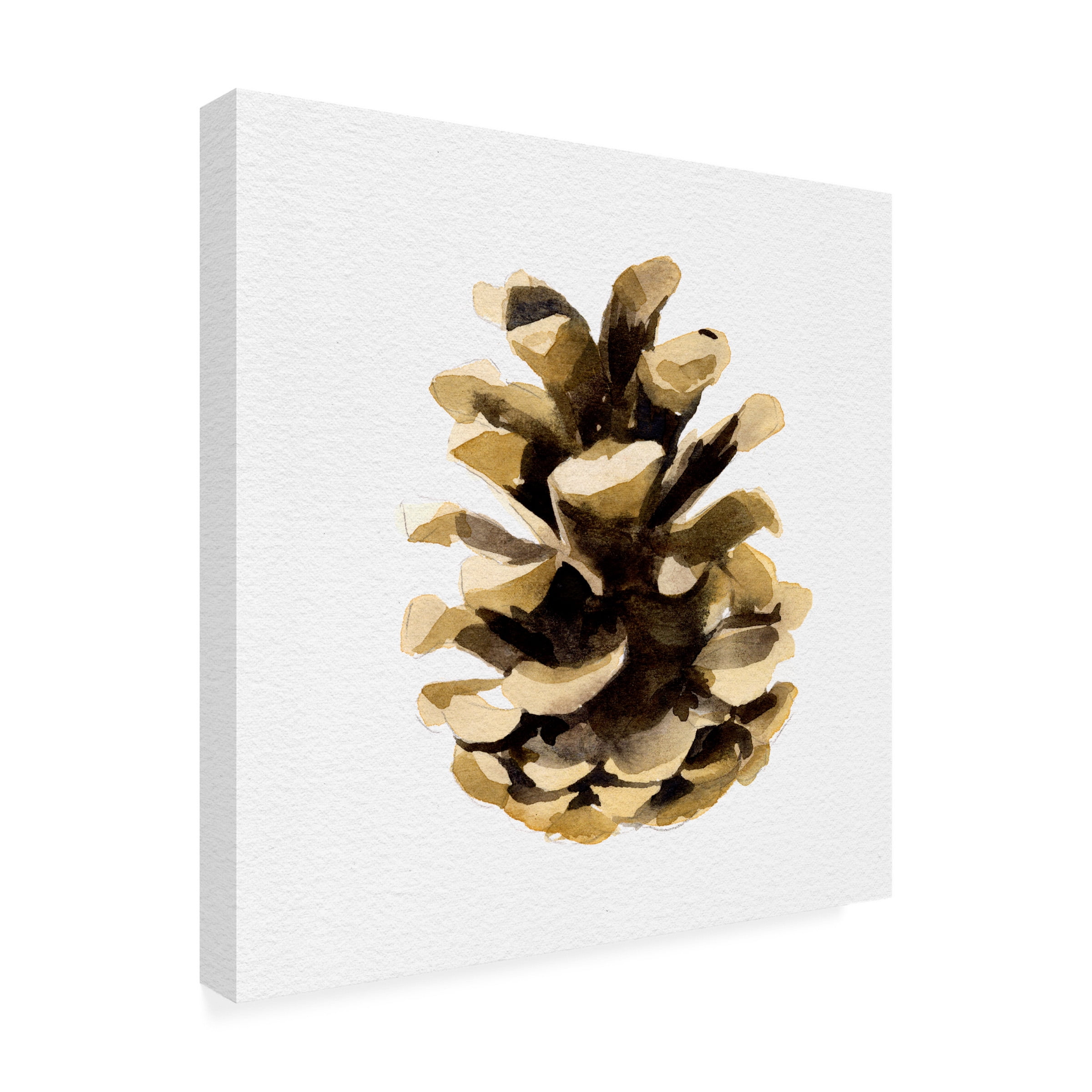 Emma Caroline 'Conifer Cone II' Canvas Art