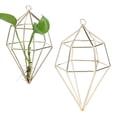 thumbnail image 3 of Estante para Plantas ANGGREK de Aire Suculentas de Mini Cactus Soporte de Suspensión para Interiores, 3 of 5
