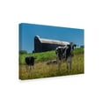 thumbnail image 2 of Trademark Fine Art 'Dairy Farm Rustic' Canvas Art by Brenda Petrella Photography Llc, 2 of 3