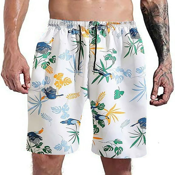 Aayomet Mens Board Shorts Swimwear Mens Slim Fit Quick Dry Swim Shorts Swim Trunks Mens Bathing Suits With Mesh,WH2 3X-Large