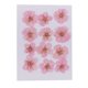 thumbnail image 2 of 12 Piezas Hermosas Flores Secas De Invierno Real Prensadas Flores Secas Para Arte Artesanía Scrapbooking Resina Joyería Artesanía Fabricación Caja Del rosa claro perfecl Flores secas prensadas reales, 2 of 8