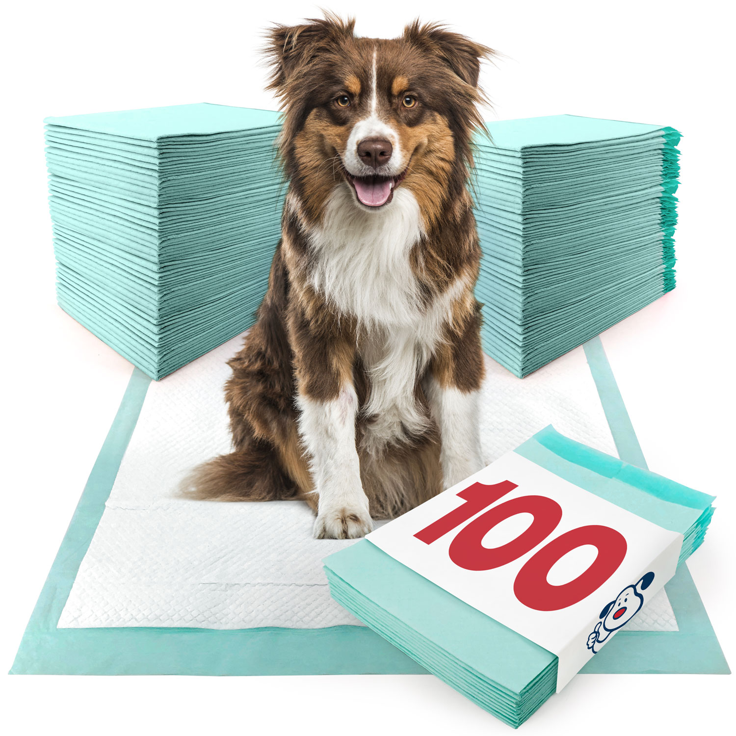 ValuePad Plus Puppy Pads, Large 28x30 Inch, 100 Count