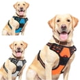 thumbnail image 5 of HYwys Dog Harness for Medium Dogs, Anti-Loss Dog Leash Vest Adjustable Easy on Puppy Harness Dog Chest Harness, 5 of 6