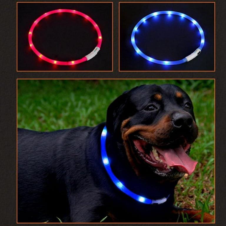 USB Rechargeable LED Light Up Dog Collars Glowing Pet Safety Collar Silicone Cuttable Light Up Dog Collar Lights Safety and Cool Neon Dog Collar