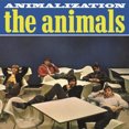 thumbnail image 1 of ANIMALIZATION, 1 of 2