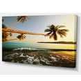 thumbnail image 2 of Andaman Sea Large Coconut Palms, 2 of 3