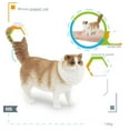 thumbnail image 4 of 1Pcs Cute Pet Cat  Figures Mini Ragdoll Sleeping Kitten Siamese PVC Figurine Miniature Kids Toy, 4 of 7