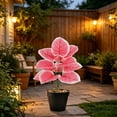 thumbnail image 5 of Gallickan Artificial Pink Plant Potted Alocasia 12 Leaves PVC Fake Tropical with Pot for Home Office Desk Decor, 5 of 6