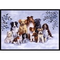 thumbnail image 1 of Carolines Treasures BDBA316AJMAT Winter Dogs Indoor or Outdoor Mat- 24 x 36, 1 of 4