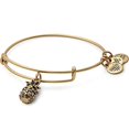 thumbnail image 2 of Path of Symbols Bracelet Extensible pour Femmes, Charme Ananas, Finition Or Rafaélienne, 2 à 3,5 Pouces, 2 of 2