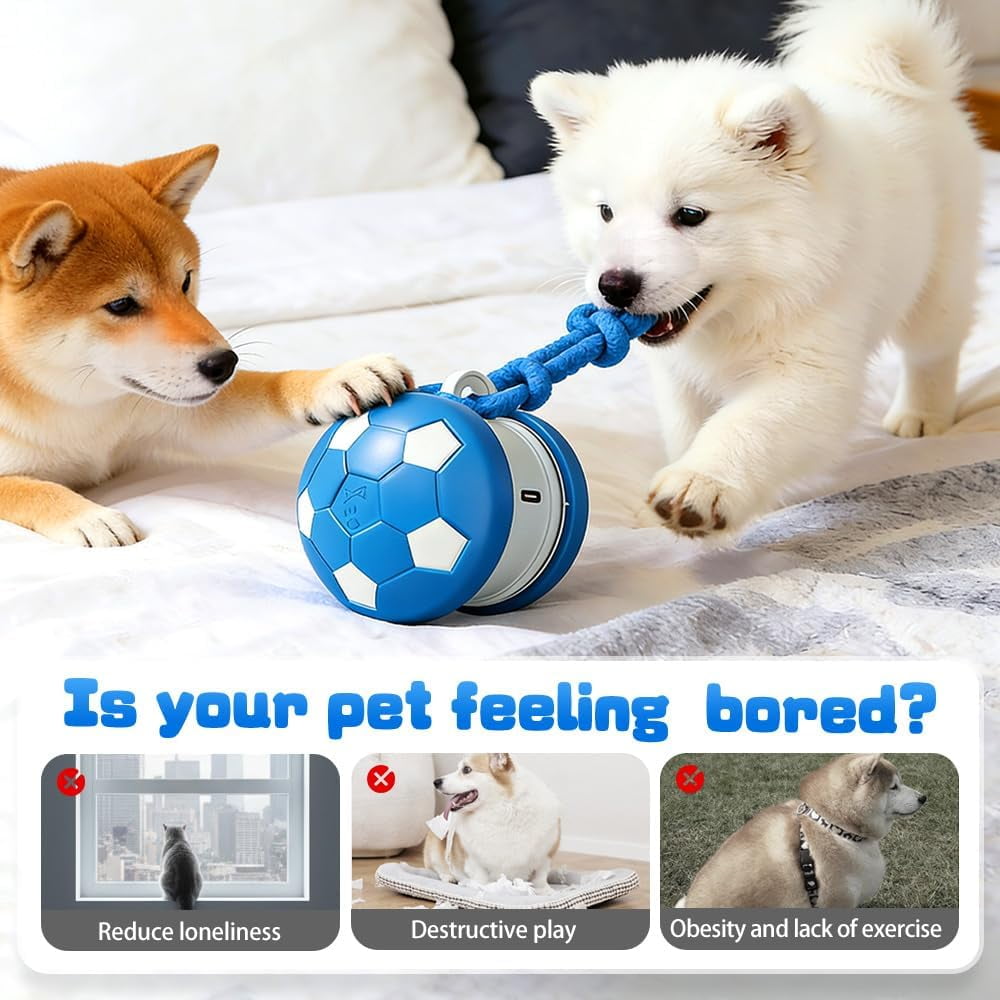 Interactive Dog Balls, Electric Moving and Rolling Enrichment Dogs Ball with Rope, Interactive Pet Ball for Small Medium Large Dogs, Rechargeable Motion-Activated Smart Dog Ball (Blue+Orange, 2Pcs)