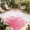 Pink, variant on Blue Bohemian Outdoor Rug for Patio/Deck/Porch, Non-Slip Large Area Rug 5 x 7 Ft, Boho Modern Floral Abstract Ombre White Indoor Outdoor Rugs Washable Area Rugs, Reversible Camping Rug Carpet Runner