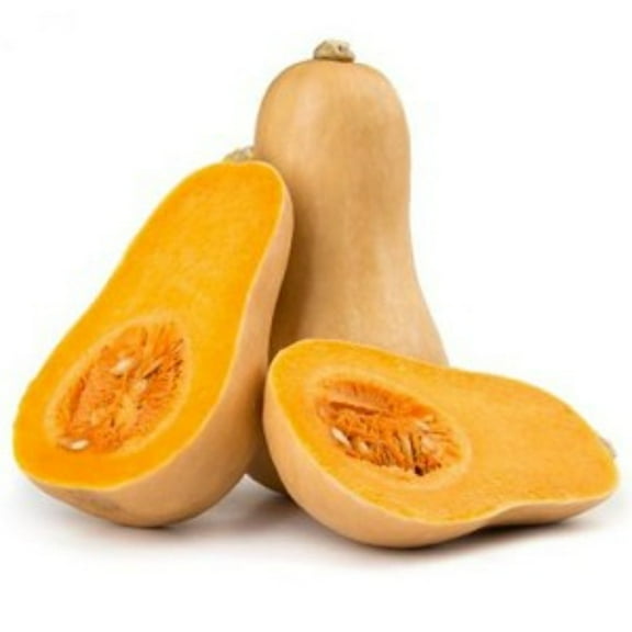 Waltham Heirloom Butternut Winter Squash Seeds