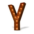 thumbnail image 1 of Iconics Indoor & Outdoor Letter Y Icon Marquee Light Sign, 1 of 1