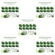 thumbnail image 3 of Soporte para plantas trepadoras Toystoory 10 Piezas Autoadhesivo Verde, 3 of 6