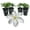 4 Plants, variant on Clematis John Huxtable - Live Starter Plant in a 2 Inch Growers Pot - Starter Plants Ready for The Garden - Rare Clematis for Collectors