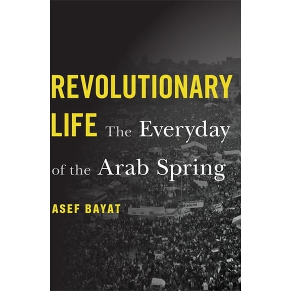 Revolutionary Life: The Everyday of the Arab Spring (Hardcover)