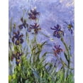 thumbnail image 2 of Monet, Claude 20x24 White Modern Wood Framed Museum Art Print Titled - Irises (detail), 2 of 4
