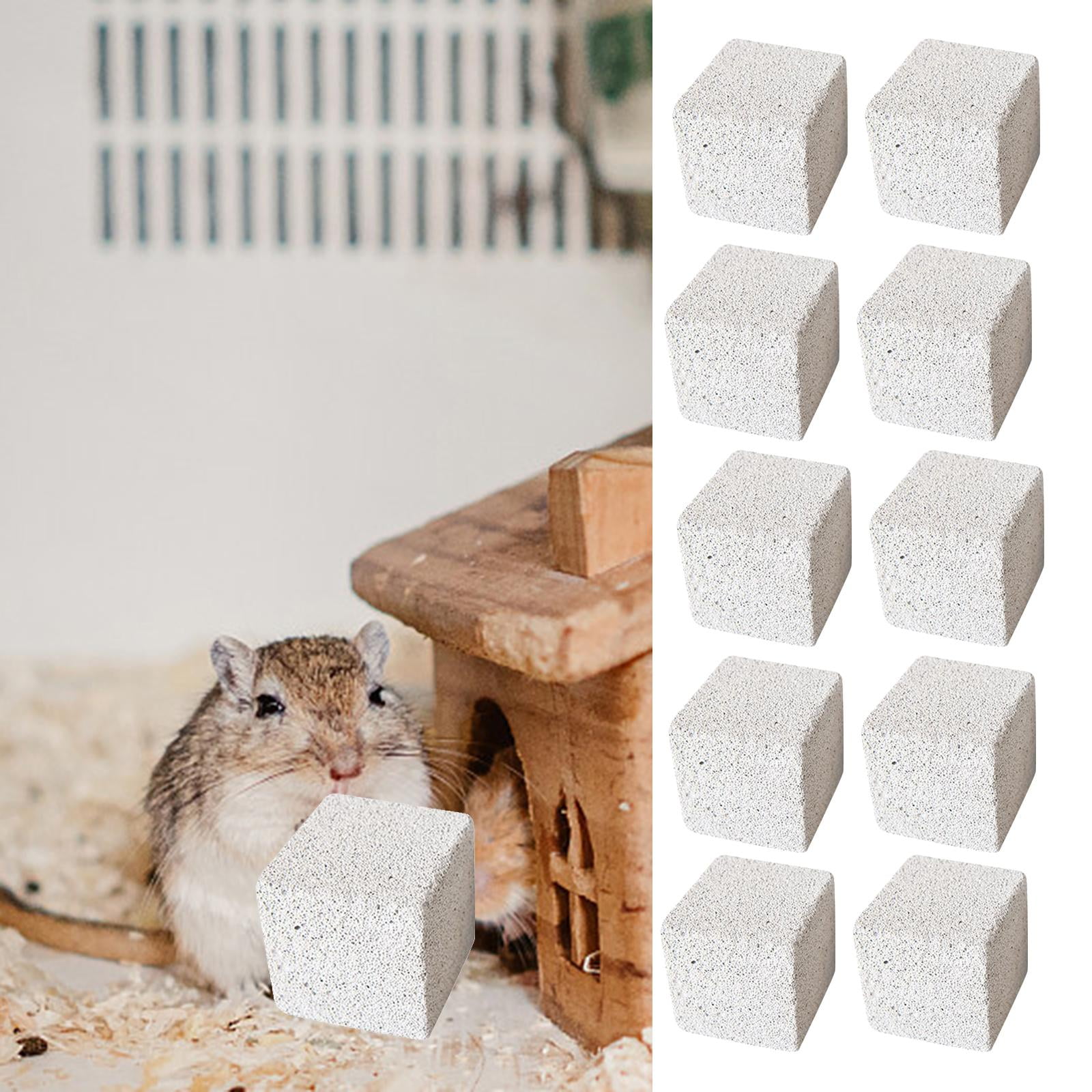 10x Stone Square Hamster Grinding Pet Supplies Stone Grinding 3cm Walmart