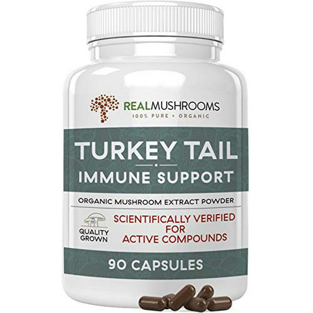 Real Mushrooms Turkey Tail Mushroom Supplements For Immune Support Wellness Vitality Vegan