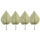 thumbnail image 1 of 4 hojas de palma secas, flores secas para decoración de boda bohemia. Afortunado Sencillez, 1 of 5