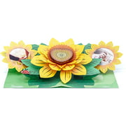WOWPAPERART Sun Flower - 3D Pop Up Color Greeting Card for All Occasions Birthday, Love, Congrats, Good Luck,