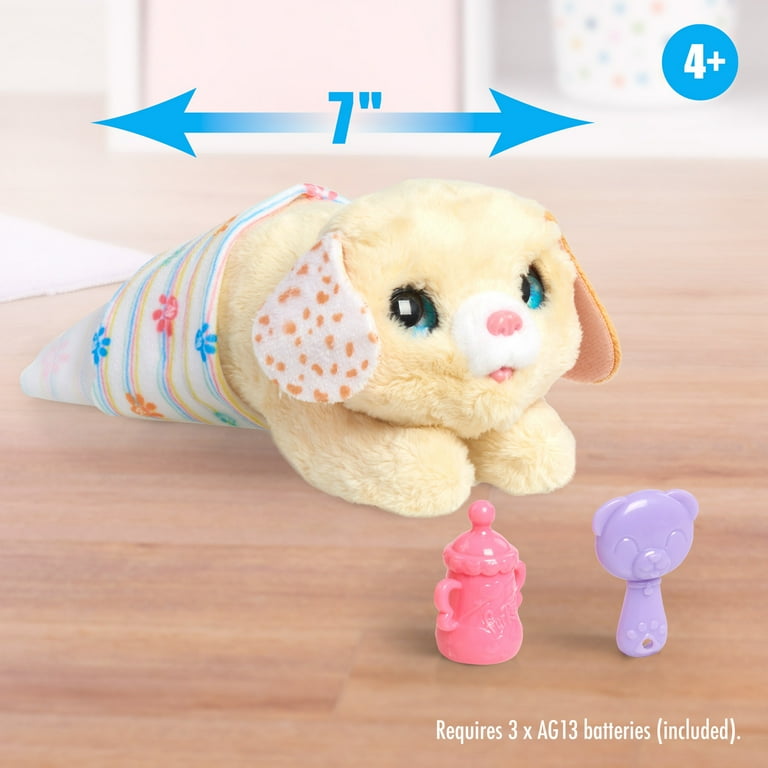 Bear brand for newborn puppies hot sale