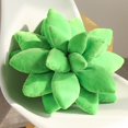 View all media