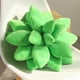 thumbnail image 5 of Almohada decorativa Colco de cactus suculentas Peluche 25cm, 5 of 8