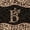 Brown B, variant on meiyoeat Brown Ribbon Initial T Twin Bedding for Girls, Leopard Print Polka Dots Bedding Comforter Set, Black Reversible, 7pcs