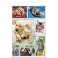 thumbnail image 1 of Keith Kimberlin - Collage de chiots et de chatons, 1 of 4