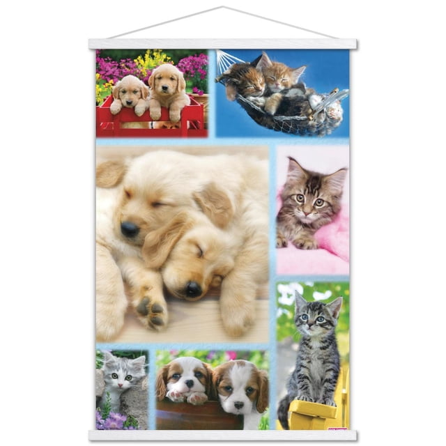 Keith Kimberlin - Collage de chiots et de chatons