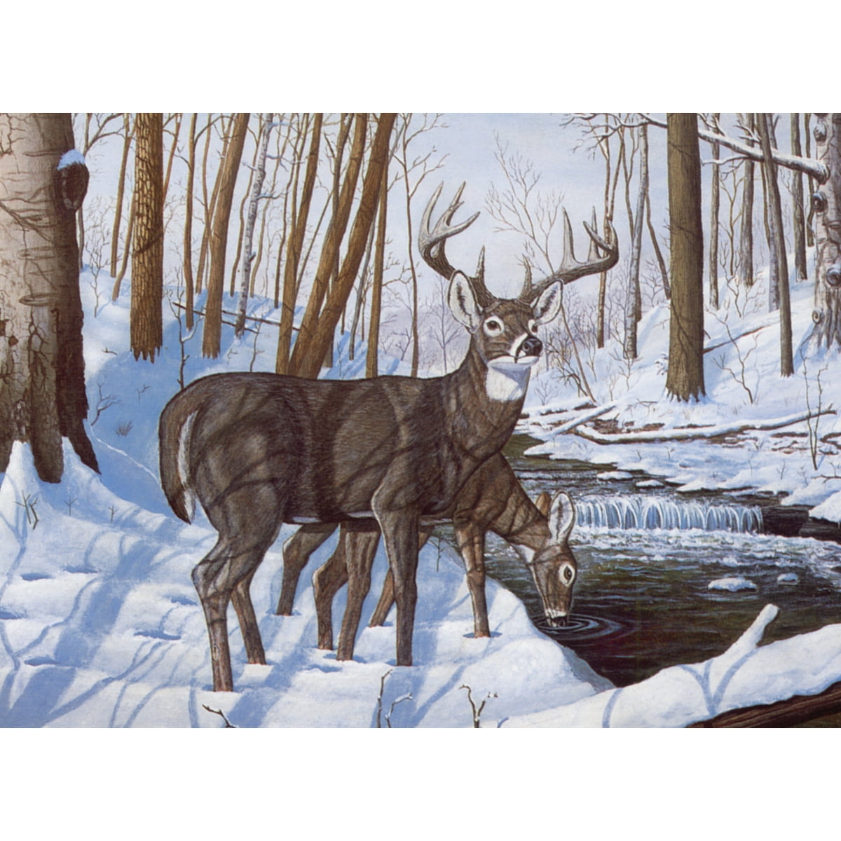 Paint By Number Kit 15.375"X11.25"Winter Bliss