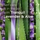 thumbnail image 4 of Recambios Glade Plugins para ambientador Tranquil Lavender & Aloe, 4 of 9