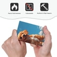 thumbnail image 4 of Disketp Blue Sky Cloud Puppy Decorative Light Switch or Outlet Wall Plate with Safety Cover-Style V, 4 of 6