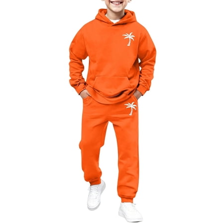 RMGVDSD Stylish Boys 2 Piece Outfits Graphic Print Hoodies Long Sleeve Pullover Sweatshirts And Sweatpants Set Comfortable Casual Playwear Stylish Outfits